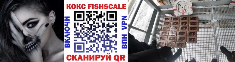 Кокаин FishScale  продажа наркотиков  Бирск 