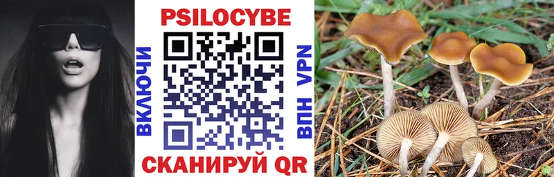 Псилоцибиновые грибы GOLDEN TEACHER ссылка на мегу ссылка Бирск